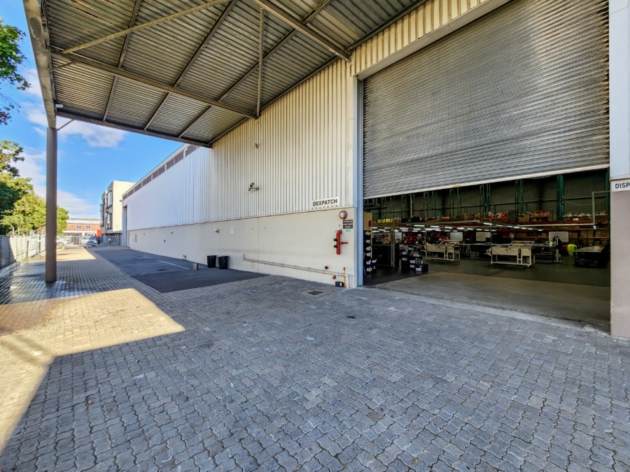 To Let commercial Property for Rent in Montague Gardens Western Cape